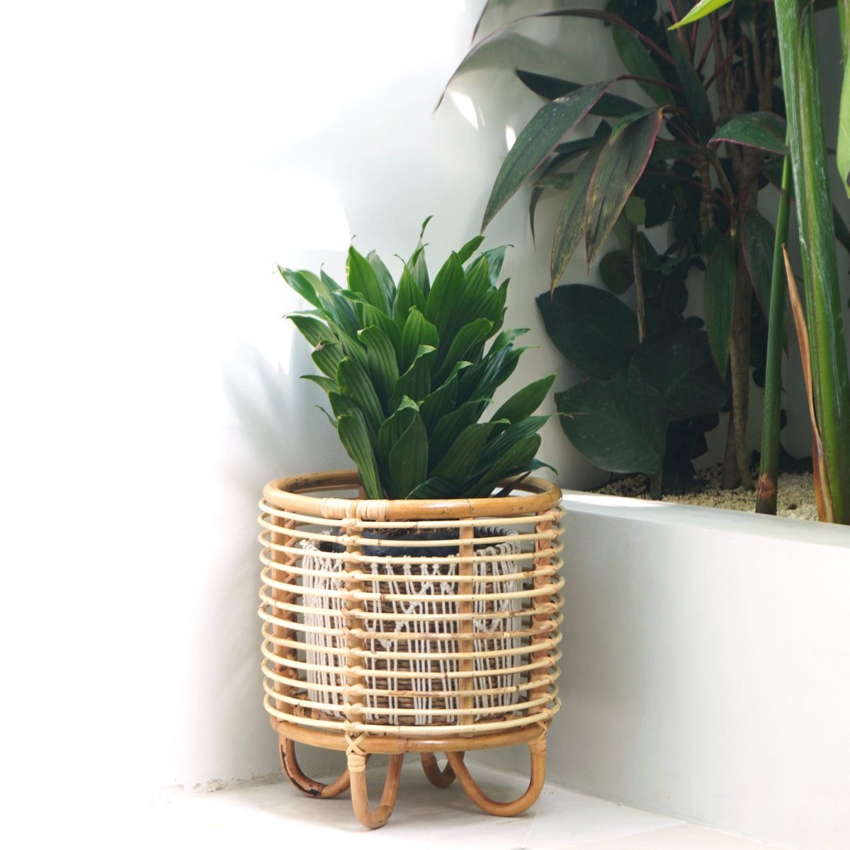 Rotan plantenstandaard plantenbak bloempothouder MALANG beige